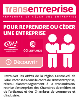 Transentreprise